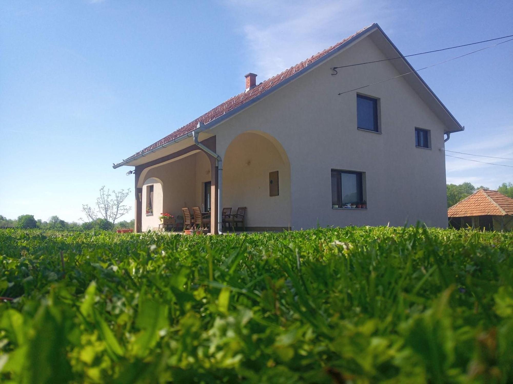 Villa Kosmaj Casa Maia à Ducina Extérieur photo